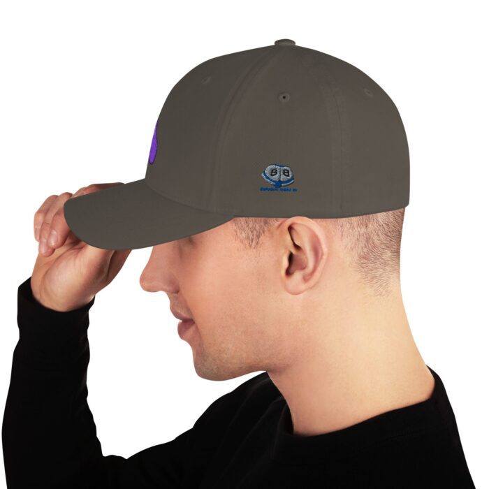 Structured Twill Cap - Power Top/Eggplant - Image 27