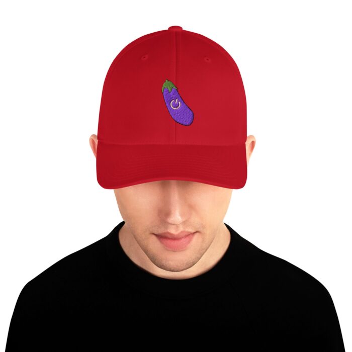 Structured Twill Cap - Power Top/Eggplant - Image 17
