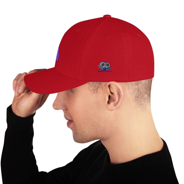 Structured Twill Cap - Power Top/Eggplant - Image 19