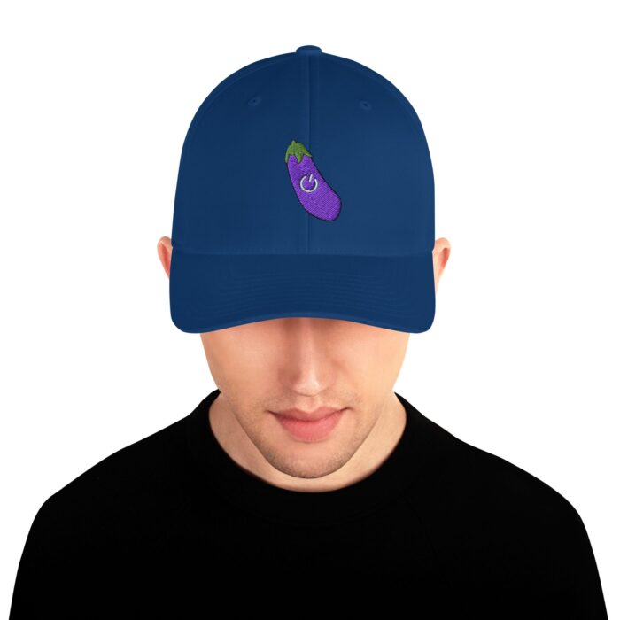 Structured Twill Cap - Power Top/Eggplant - Image 13
