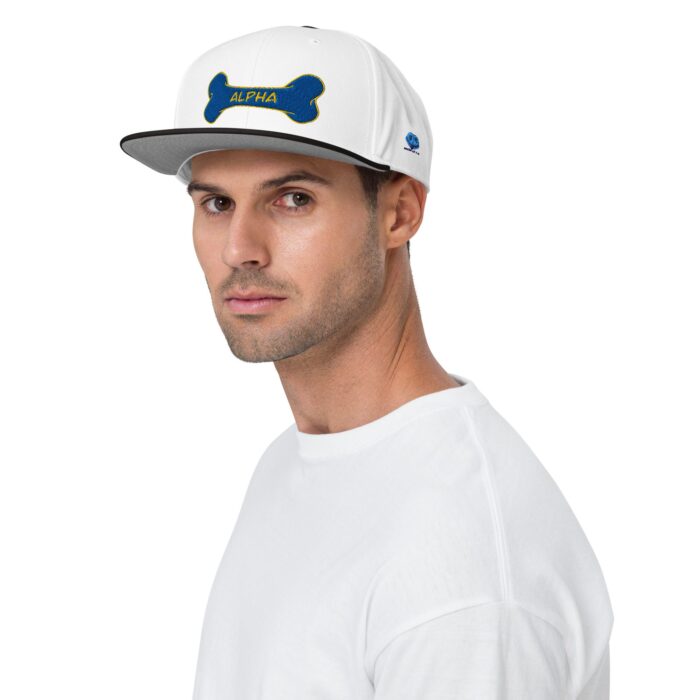 Snapback Hat - Alpha - Image 19