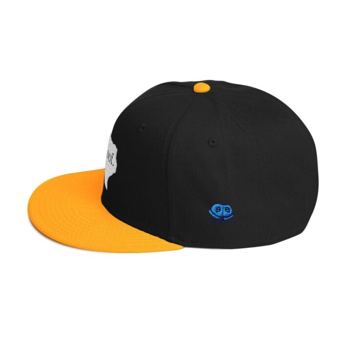 Snapback Hat - Texas Woof - Image 23