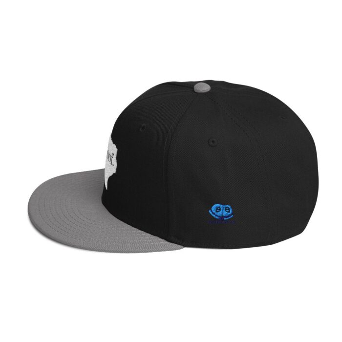 Snapback Hat - Texas Woof - Image 15