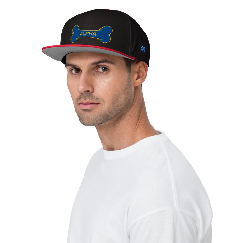 Snapback Hat - Alpha