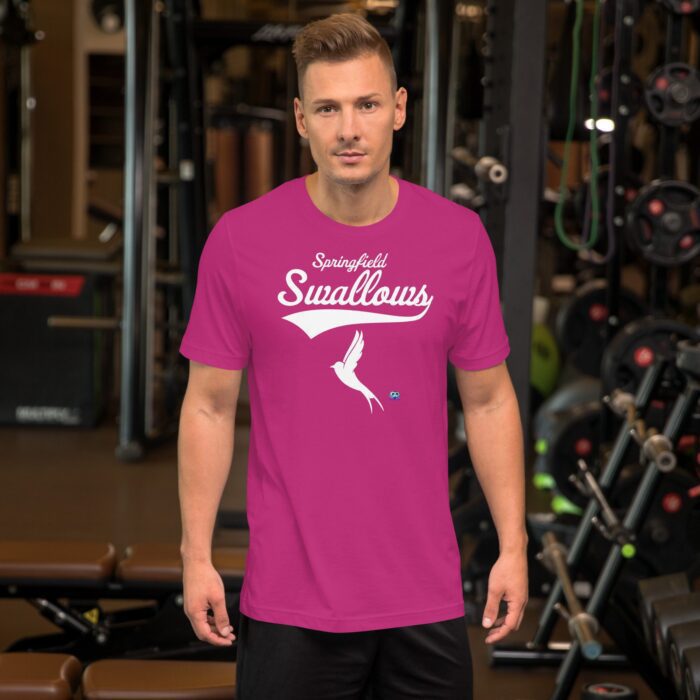 Short Sleeve Tee - Springfield Swallows - Image 7