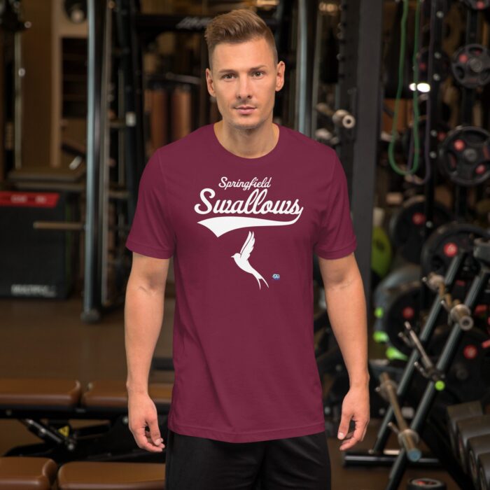 Short Sleeve Tee - Springfield Swallows - Image 4